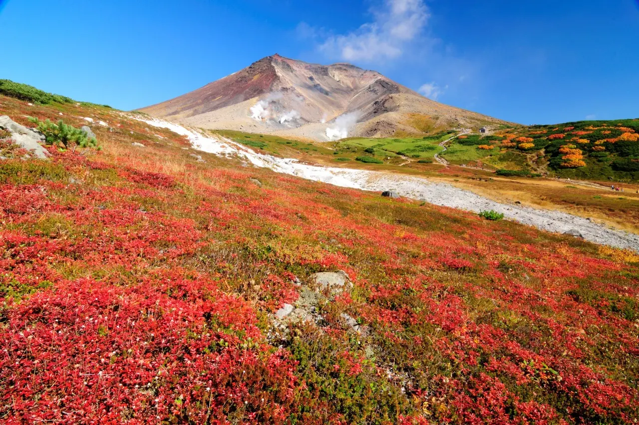 HOKKAIDO MÙA THU - TRẢI NGHIỆM ONSEN TẠI Asahidake