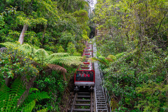 TOUR SYDNEY MONO – KẾT HỢP THĂM THÂN