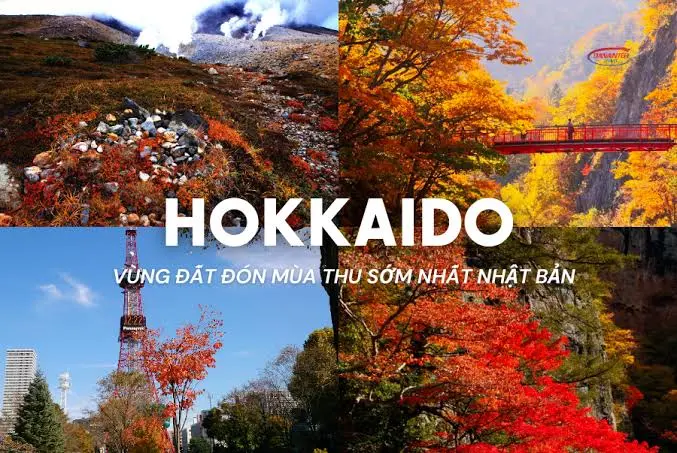 HOKKAIDO MÙA THU - VÙNG ĐẤT ĐÓN LÁ VÀNG SỚM NHẤT NHẬT BẢN