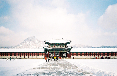 TOUR HÀN QUỐC MÙA ĐÔNG: TRẢI NGHIỆM MÙA HOA TUYẾT