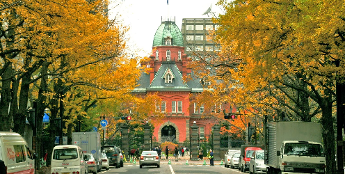 TOUR NHẬT BẢN MÙA THU HOKKAIDO