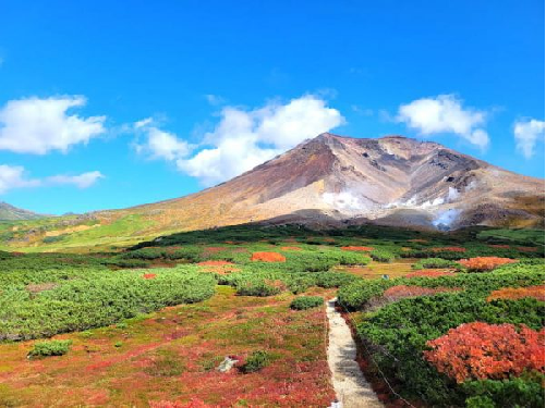 TOUR NHẬT BẢN MÙA THU HOKKAIDO