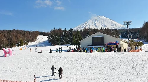 ĐÓN GIÁNG SINH TẠI NHẬT BẢN: TOKYO – PHÚ SĨ – NAGOYA – KYOTO – OSAKA