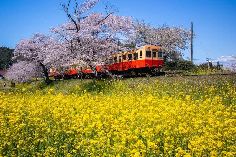  Isumi Railway