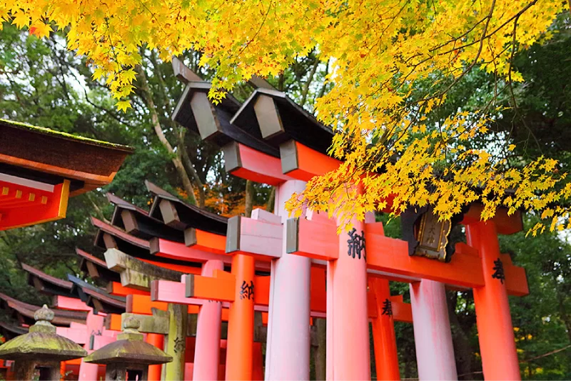 KANSAI – TOTTORI – OSAKA – KYOTO