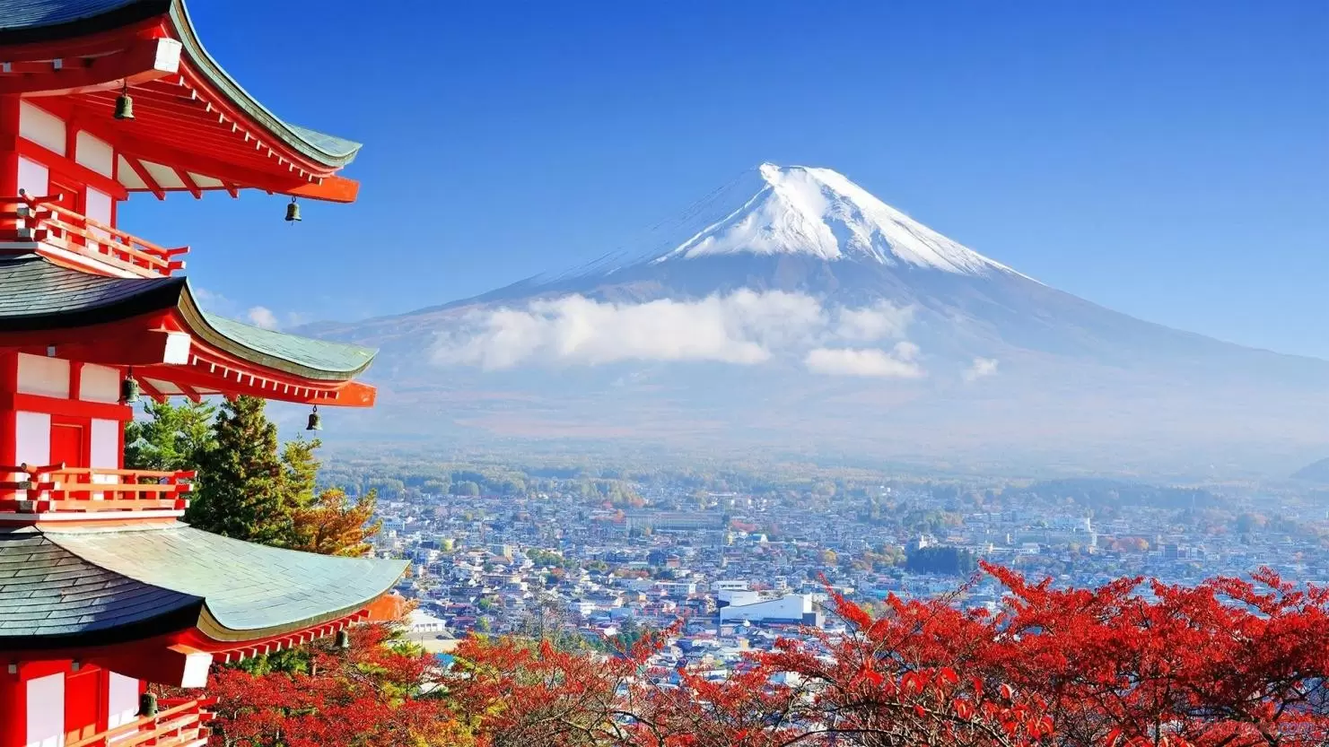 TP.HCM – OSAKA – KYOTO – YAMANASHI  – TOKYO – TP.HCM