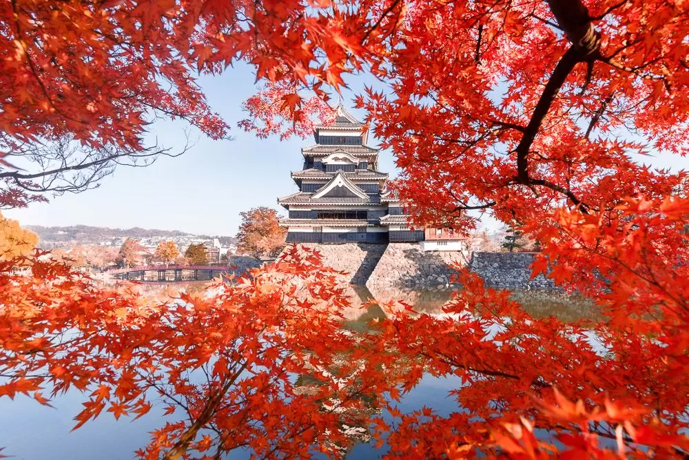 TP.HCM – OSAKA – KYOTO – YAMANASHI  – TOKYO – TP.HCM