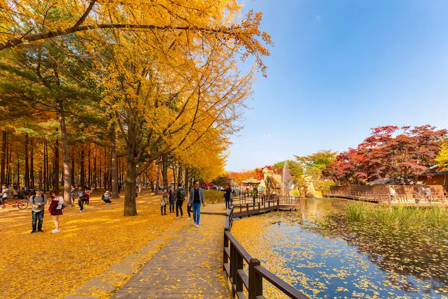 TOUR HÀN QUỐC TIẾT KIỆM HÈ THU 2025:  SEOUL – NAMI – EVERLAND – BUKCHON