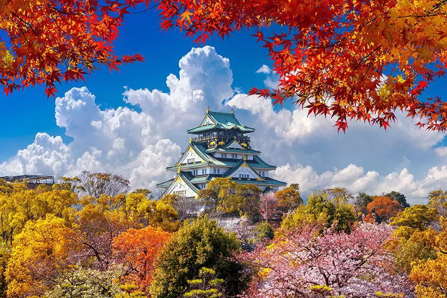 TP.HCM – OSAKA – KYOTO – YAMANASHI  – TOKYO – TP.HCM