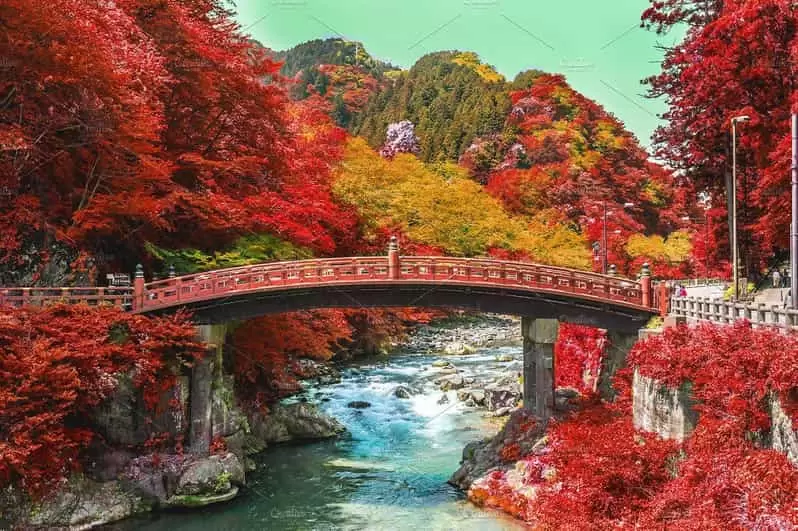 KHÁM PHÁ MÙA LÁ ĐỎ NHẬT BẢN: TOKYO – PHÚ SĨ – NIKKO