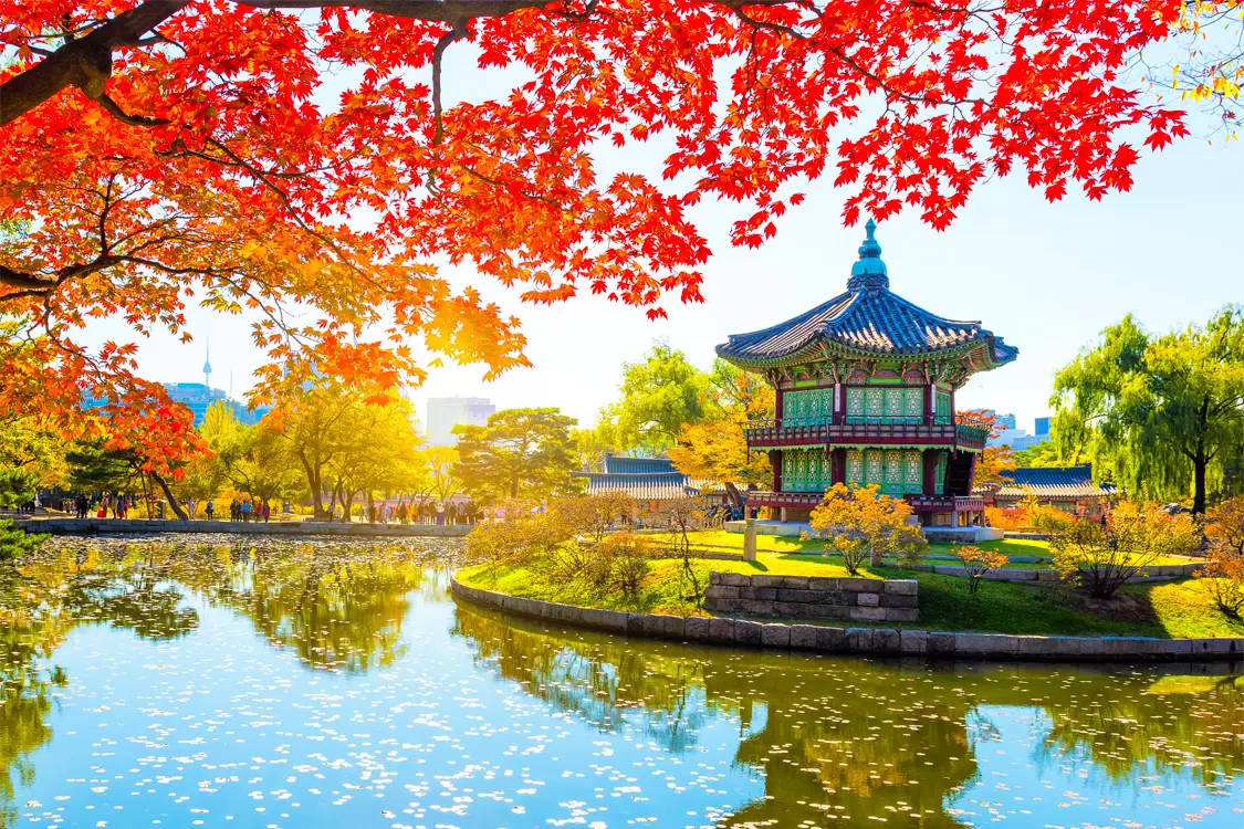 SEOUL – NAMI – EVERLAND – HANOK EUNPYEEONG – DRAWING SHOW