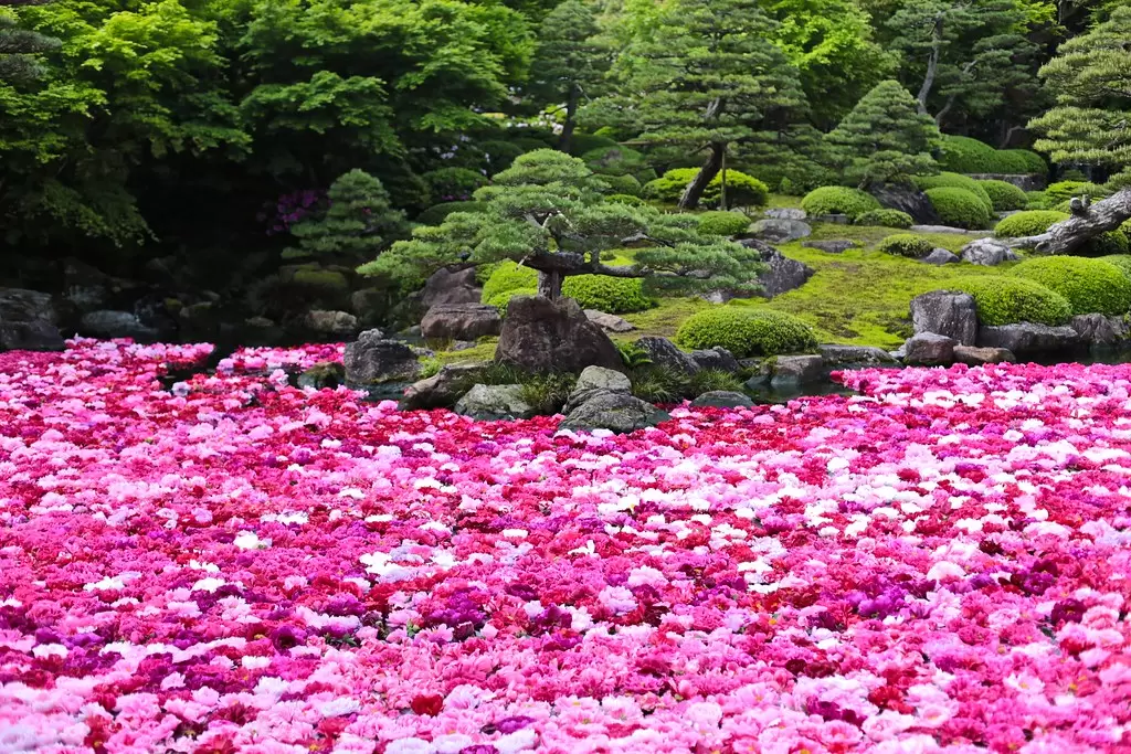 HÀNH TRÌNH KHÁM PHÁ VÙNG ĐẤT HUYỀN THOẠI: IZUMO – HAMADA – HIROSHIMA – KURASHIKI – TAMATSUKURI