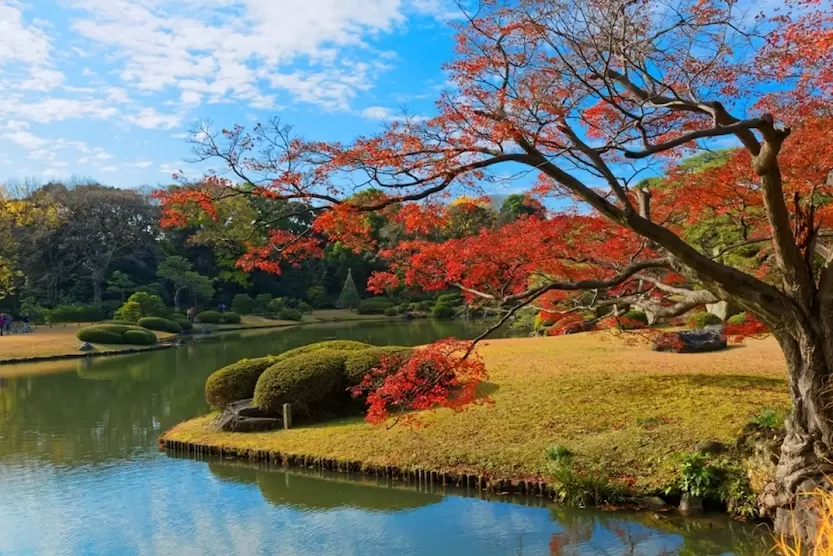 KAMIKOCHI – VIÊN NGỌC QUÝ CỦA DÃY APLS NHẬT BẢN