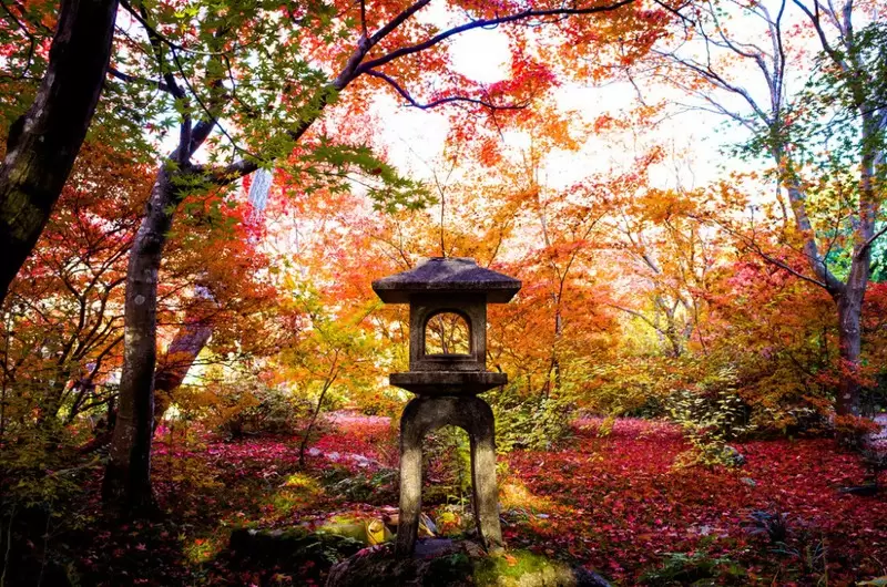 SẮC THU NHẬT BẢN: NAGOYA – YAMANASHI – HAKONE – TOKYO – NARITA