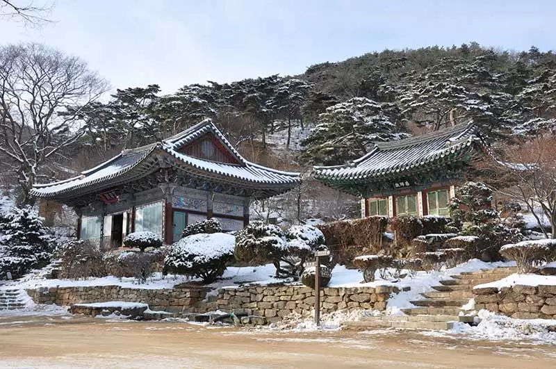 KHÁM PHÁ HÀN QUỐC SEOUL – NAMI – SKI RESORT – LOTTE WORLD