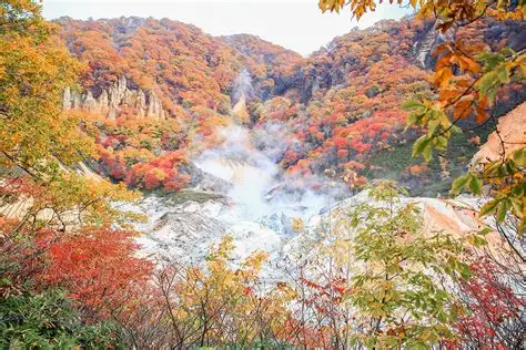 THƯỞNG LÃM VẺ ĐẸP MÙA THU HOKKAIDO: SAPPORO – NOBORIBETSU – OTARU