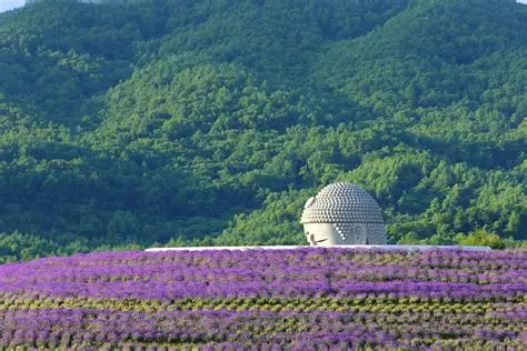 THƯỞNG LÃM VẺ ĐẸP MÙA THU HOKKAIDO: SAPPORO – NOBORIBETSU – OTARU