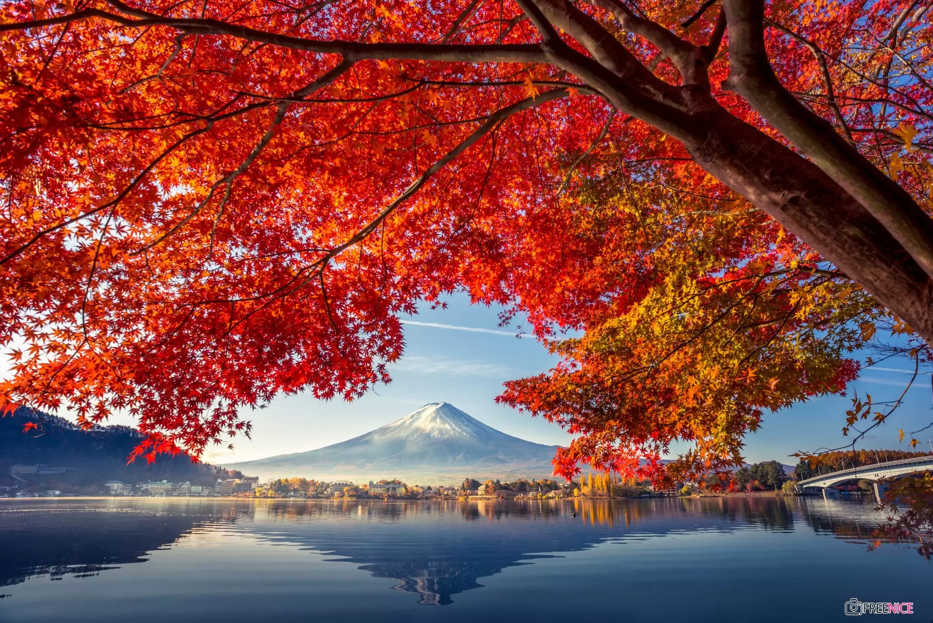 SẮC THU NHẬT BẢN: NAGOYA – YAMANASHI – HAKONE – TOKYO – NARITA