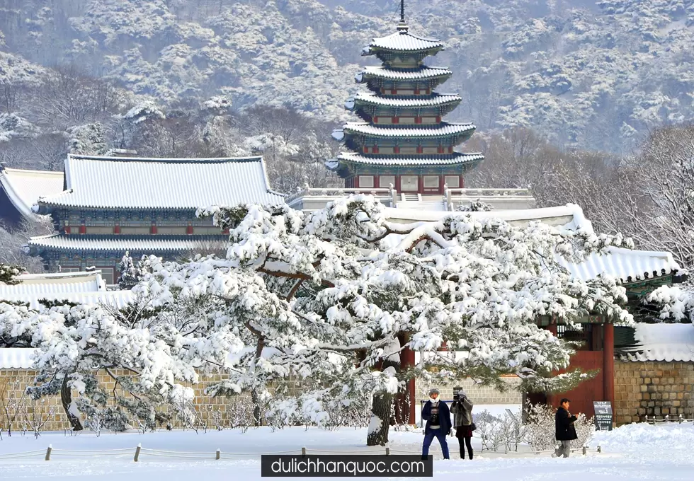 KHÁM PHÁ HÀN QUỐC SEOUL – NAMI – SKI RESORT – LOTTE WORLD