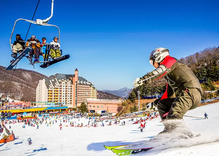 KHÁM PHÁ HÀN QUỐC SEOUL – NAMI – SKI RESORT – LOTTE WORLD
