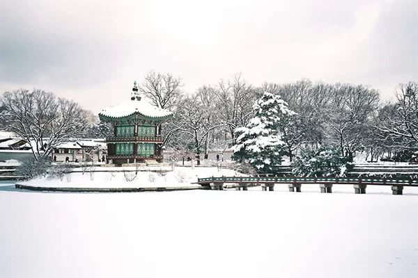 KHÁM PHÁ HÀN QUỐC SEOUL – NAMI – SKI RESORT – LOTTE WORLD