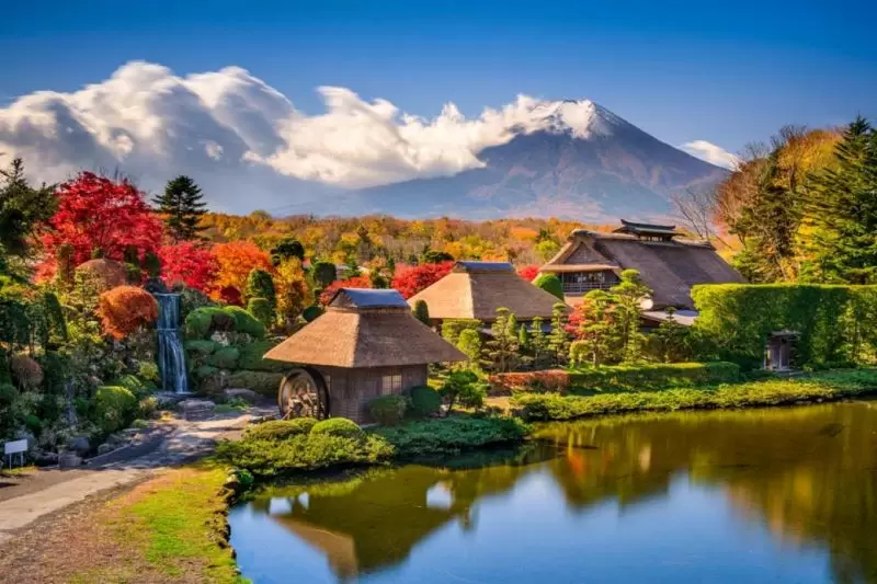 KHÁM PHÁ MÙA LÁ ĐỎ NHẬT BẢN: TOKYO – PHÚ SĨ – NIKKO