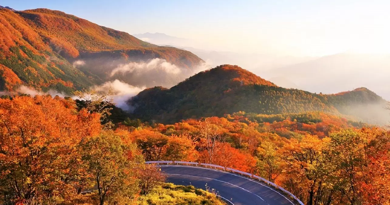 KHÁM PHÁ MÙA LÁ ĐỎ NHẬT BẢN: TOKYO – PHÚ SĨ – NIKKO