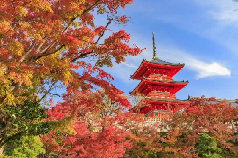 KAMIKOCHI – VIÊN NGỌC QUÝ CỦA DÃY APLS NHẬT BẢN