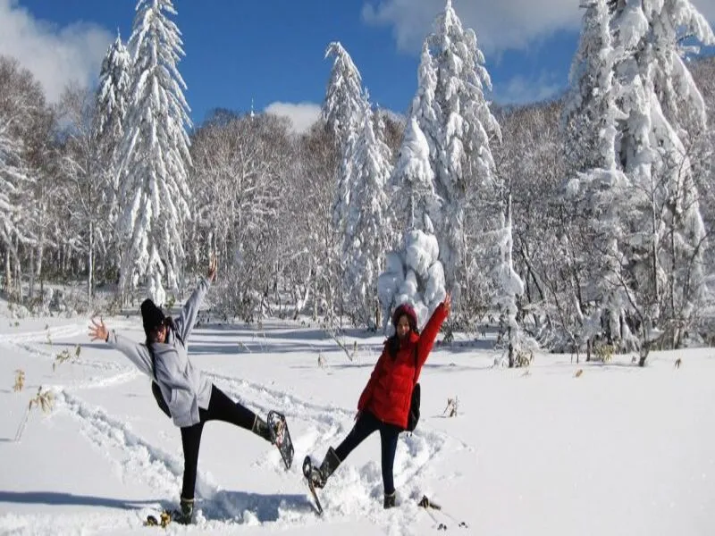 HÀNH TRÌNH ĐẾN MIỀN TUYẾT TRẮNG HOKKAIDO: SAPPORO – NOBORIBETSU – OTARU – SAPPORO
