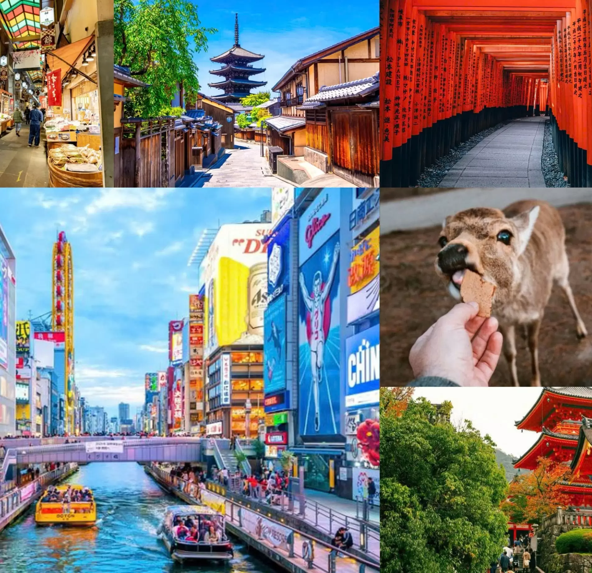 PHƯỢT NHẬT – ĐÓN TẾT TÂY: OSAKA – NARA – KYOTO