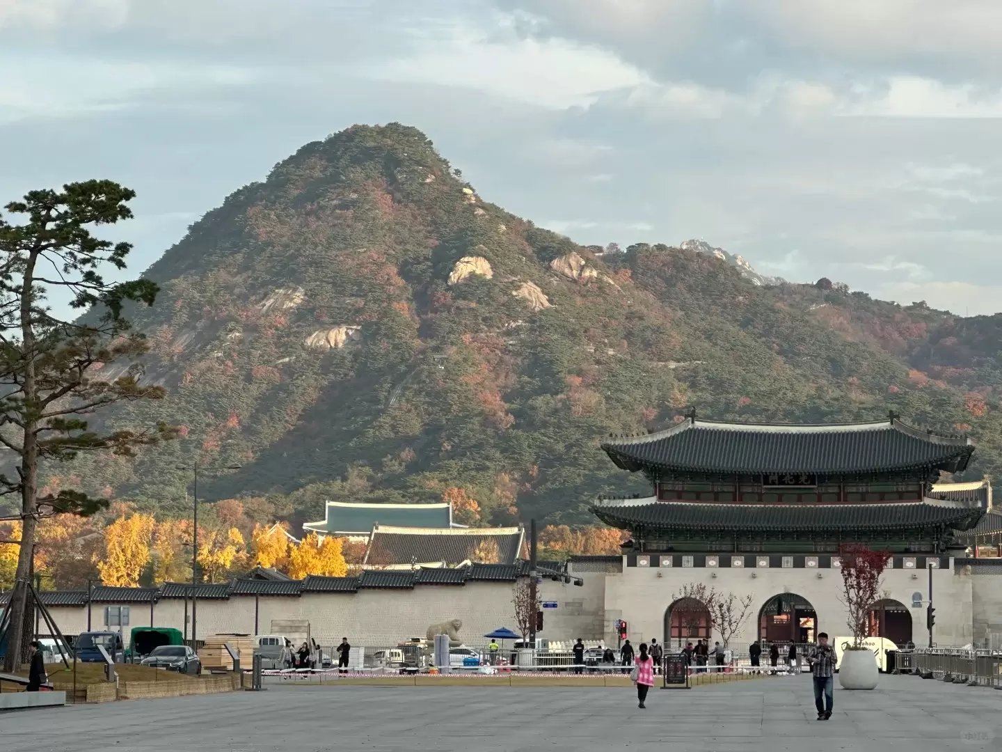 HÀN QUỐC MÙA LÁ VÀNG 2026: SEOUL – NAMI – EVERLAND (BAY VJ)