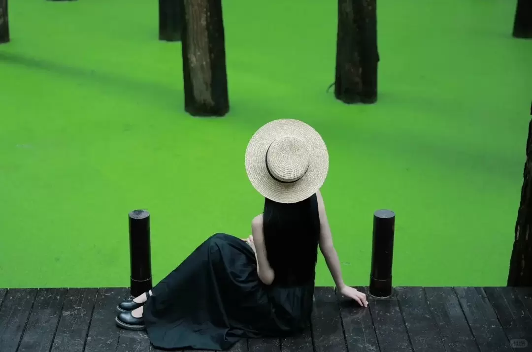 DU LỊCH Ô TRẤN – HÀNG CHÂU – TÔ CHÂU – VÔ TÍCH – THƯỢNG HẢI 5N4Đ (Bay MU)