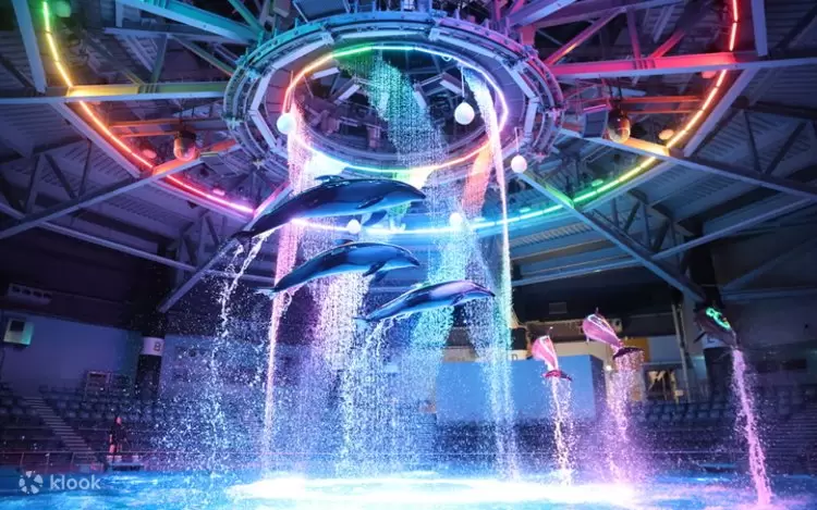 PHÚ SỸ – TOKYO – BIỂN XANH AQUA PARK