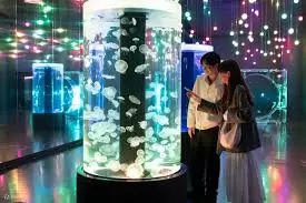 PHÚ SỸ – TOKYO – BIỂN XANH AQUA PARK