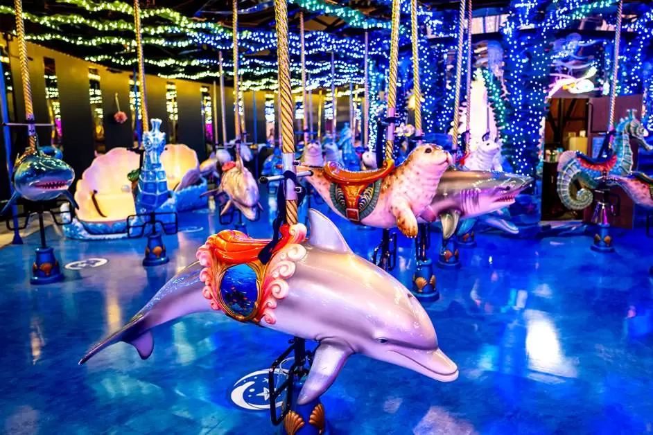 PHÚ SỸ – TOKYO – BIỂN XANH AQUA PARK