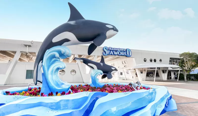 PHÚ SỸ – TOKYO – BIỂN XANH AQUA PARK