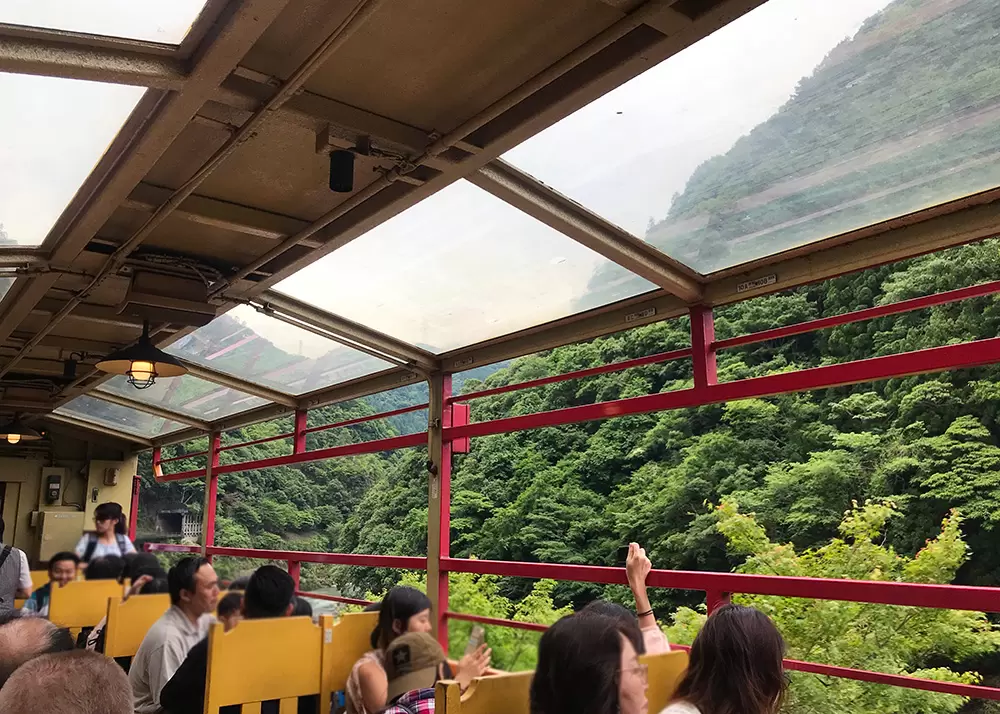 Cùng Du lịch Quốc tế Dana trải nghiệm chuyến tàu lãng mạng Sagano