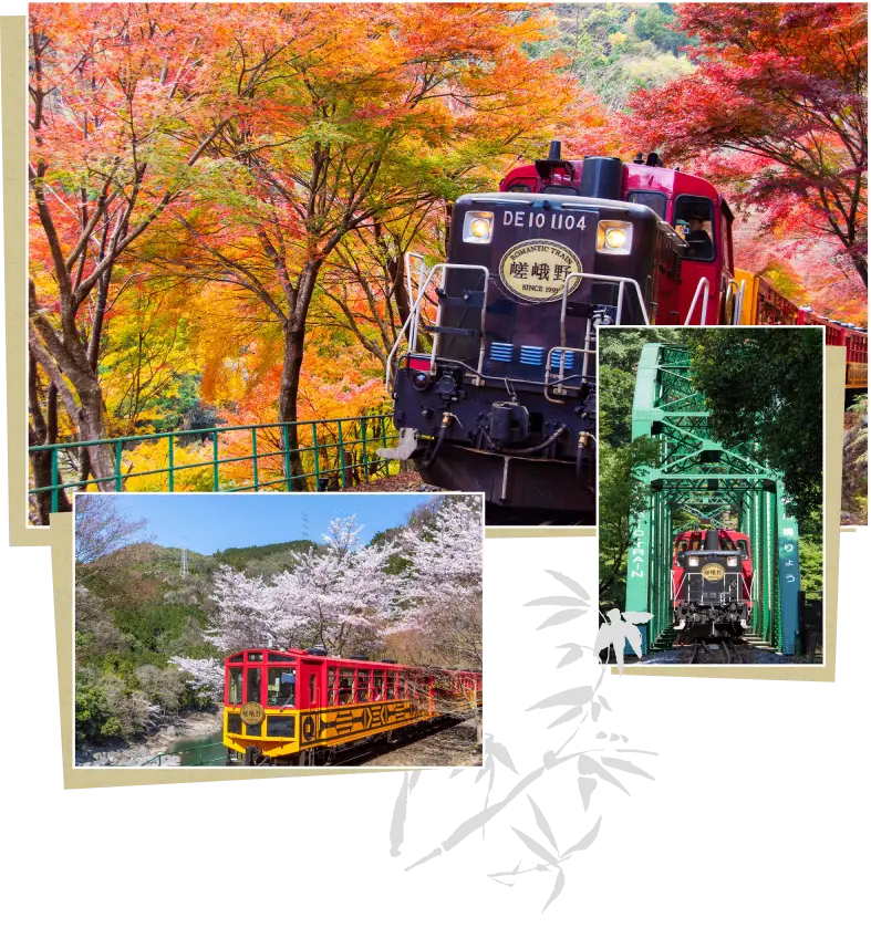 Chuyến tàu lãng mạng Sagano - điểm Du lịch hấp dẫn tại Nhật Bản