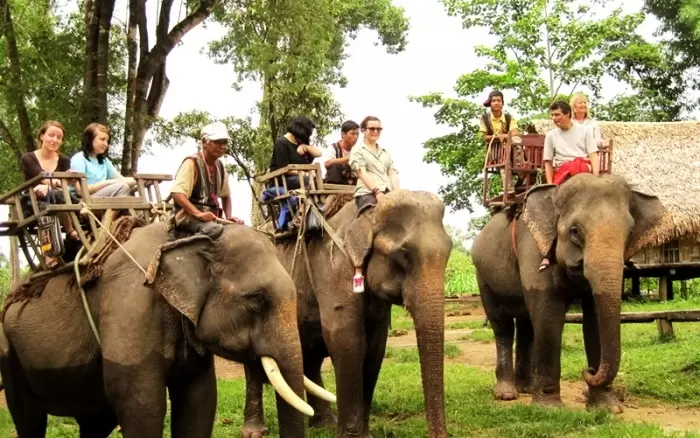 Tour Lào 2026: Trải nghiệm cưỡi voi Lào