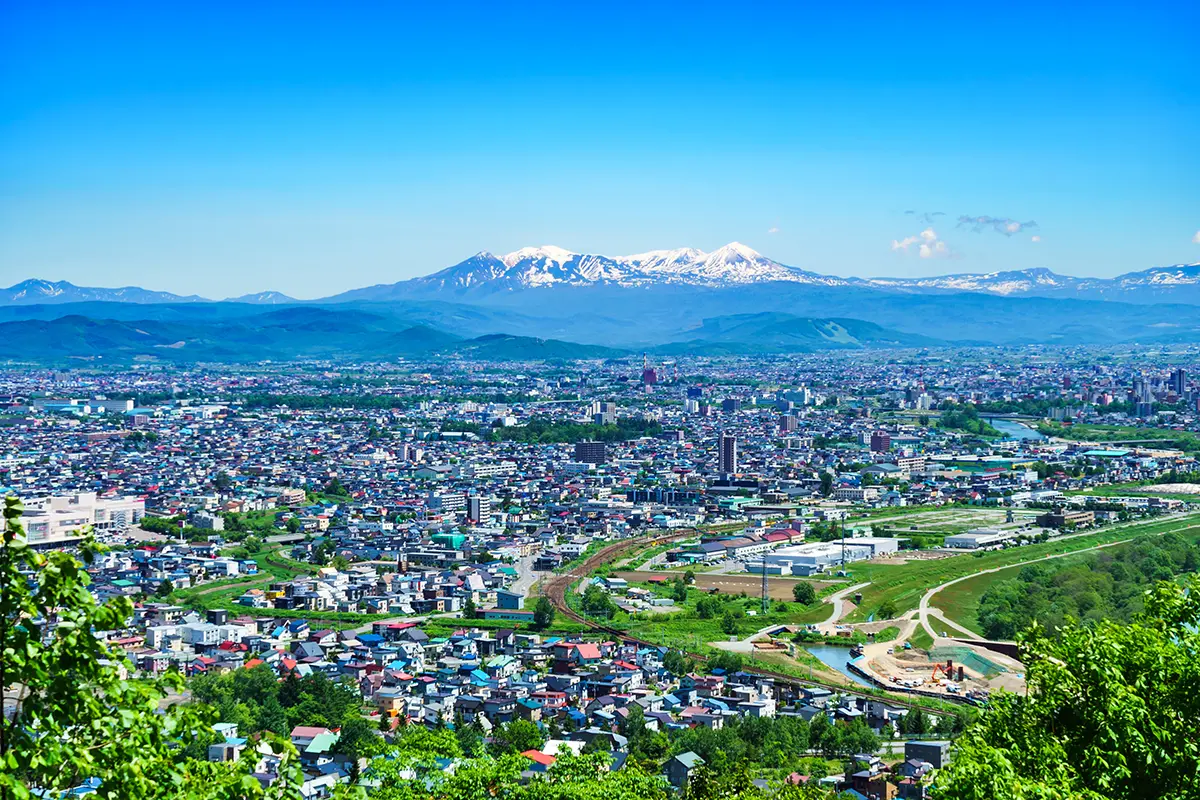 HOKKAIDO MÙA HÈ (BAY ANA) 6 NGÀY 5 ĐÊM: NGẮM HOA LAVENDER