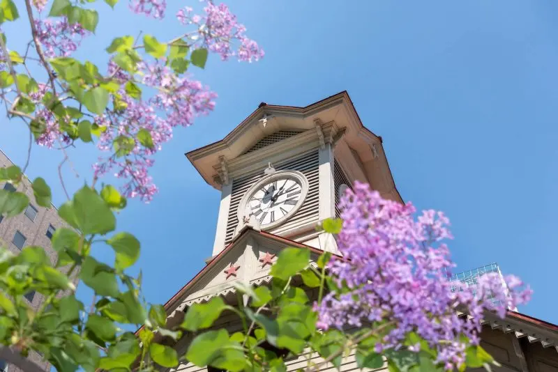 HOKKAIDO MÙA HÈ (BAY ANA) 6 NGÀY 5 ĐÊM: NGẮM HOA LAVENDER