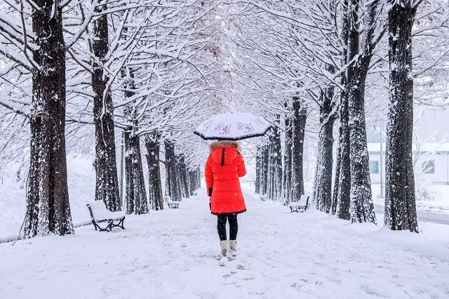 Đảo Nami mùa đông