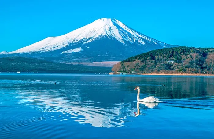 TOUR NHẬT BẢN CHO GIA ĐÌNH 10N9Đ: KỲ NGHỈ HÈ SÔI ĐỘNG | NARITA – CHIBA – TOKYO – FUJI  NAGANO – TATEYAMA – SHIRAKAWAGO – GERO ONSEN – KYOTO – OSAKA