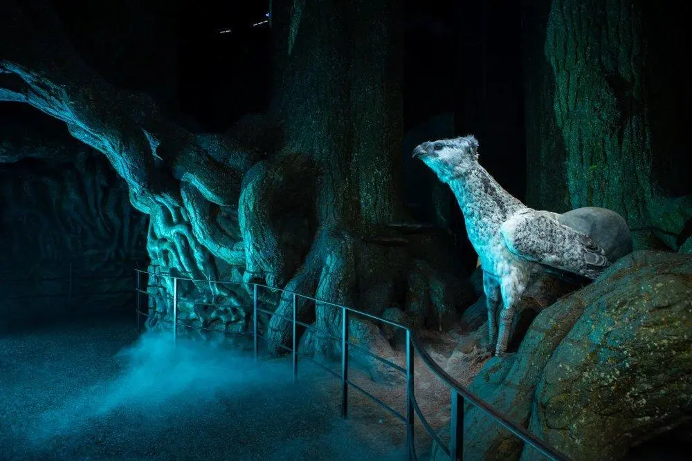 Khu Rừng Cấm - Forbidden Forest được Warner Bros. Studio Tour Tokyo – The Making of Harry Potter tái hiện lại
