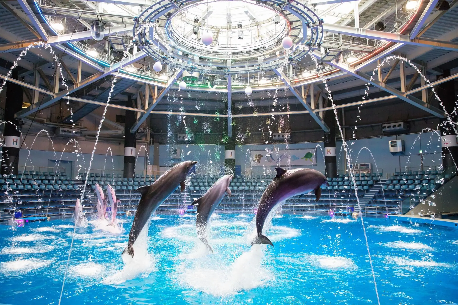 TOP 15 KHU VUI CHƠI CHƠI DÀNH CHO TRẺ EM Ở TOKYO - MAXELL AQUA PARK