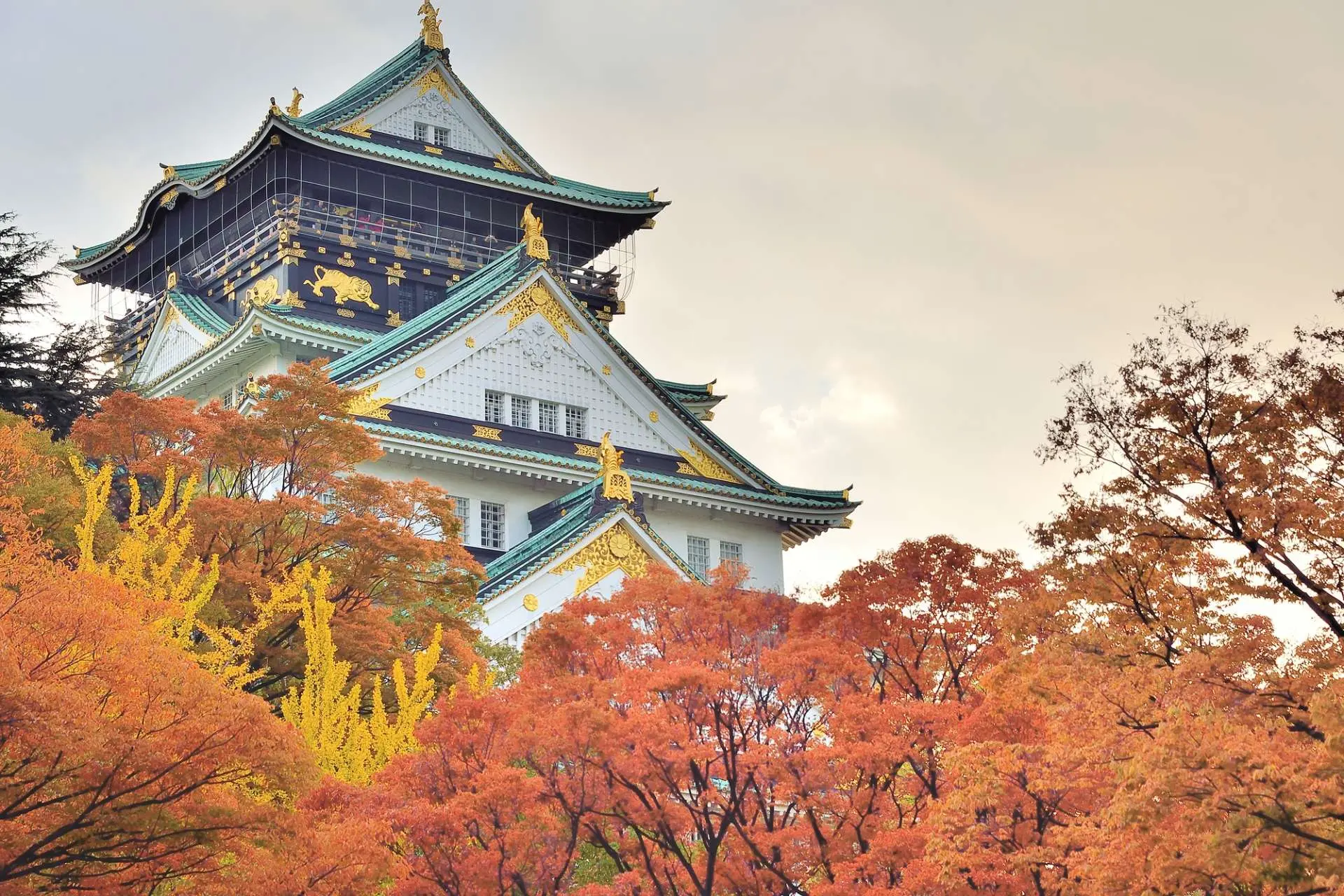 TOP 10 ĐỊA ĐIỂM NGẮM LÀ VÀNG LÁ ĐỎ MÙA THU NHẬT BẢN_LÂU ĐÀI OSAKA