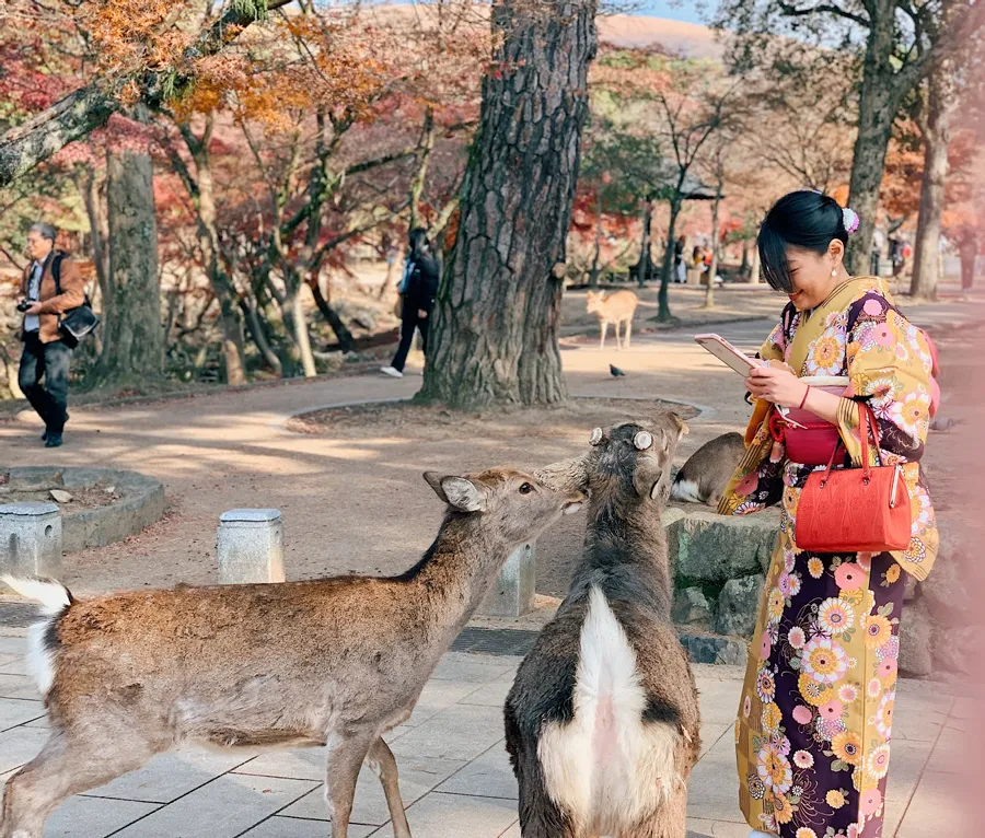 CUNG ĐƯỜNG DI SẢN OSAKA – KYOTO – NARA 6 NGÀY 5 ĐÊM