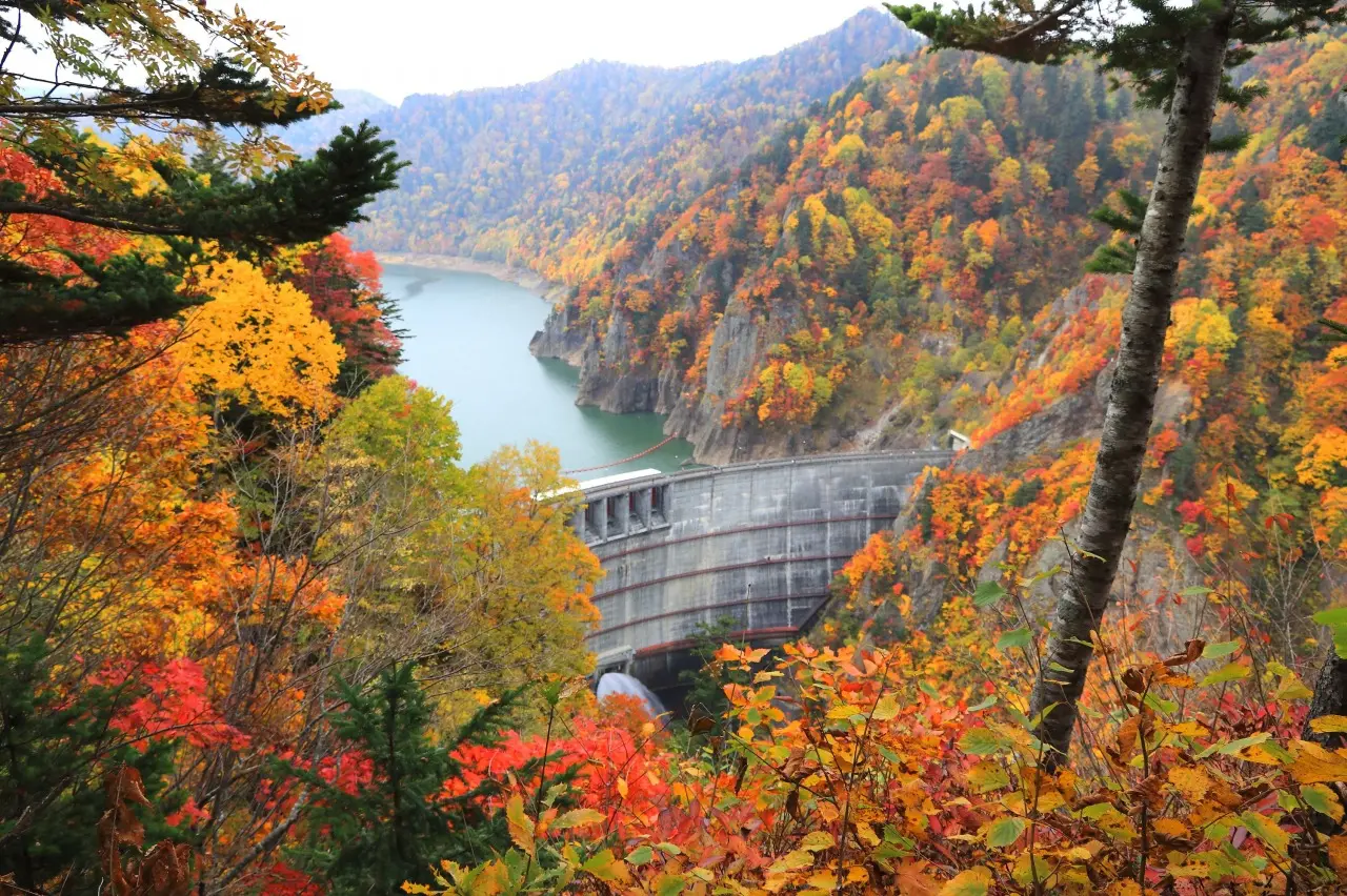 Hōheikyō Dam - Jozankei địa điểm ngắm lá vàng mùa thu 