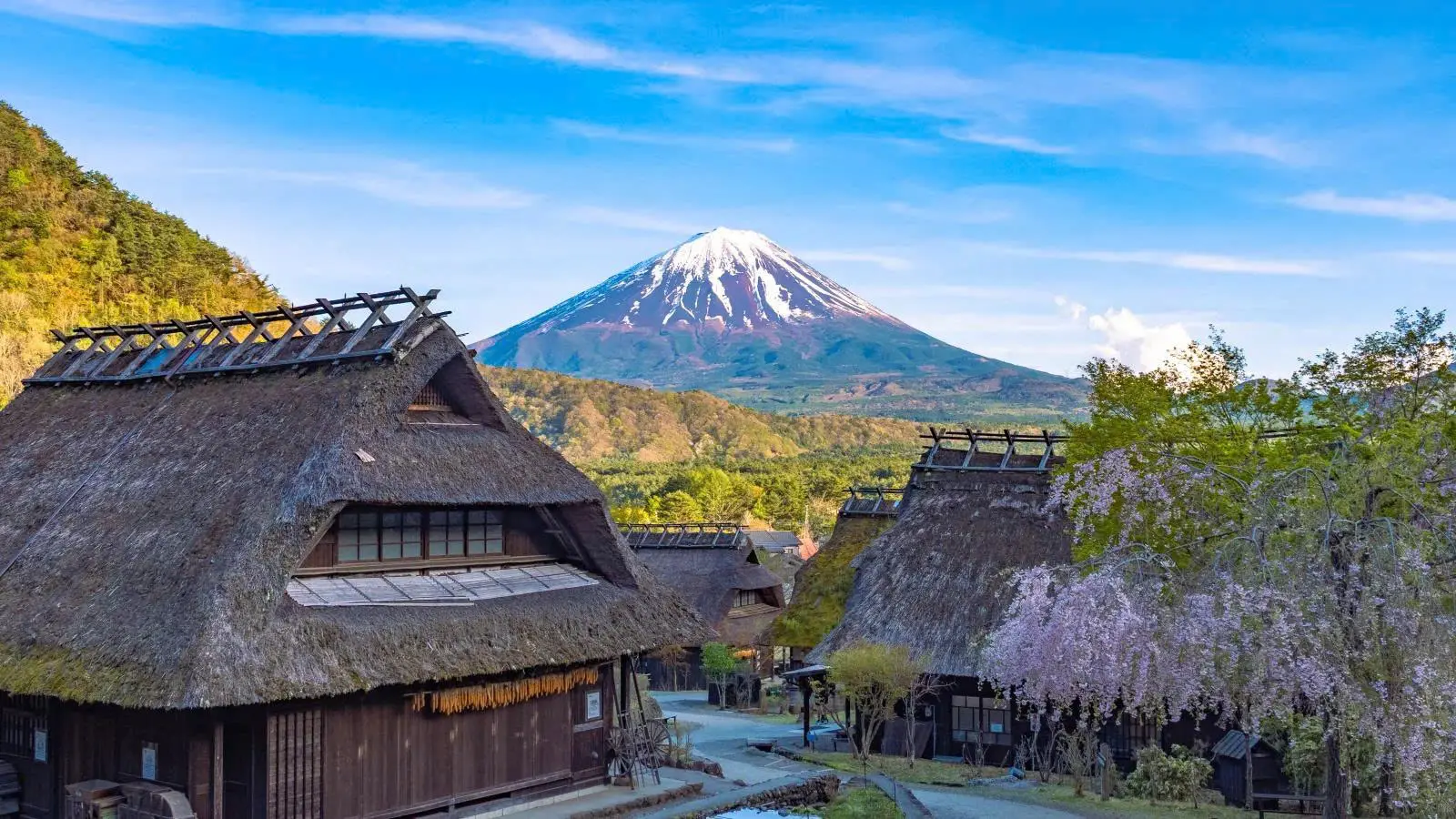 Background núi Phú Sĩ “đắt giá” tại Saiko Iyashi no Sato Nenba