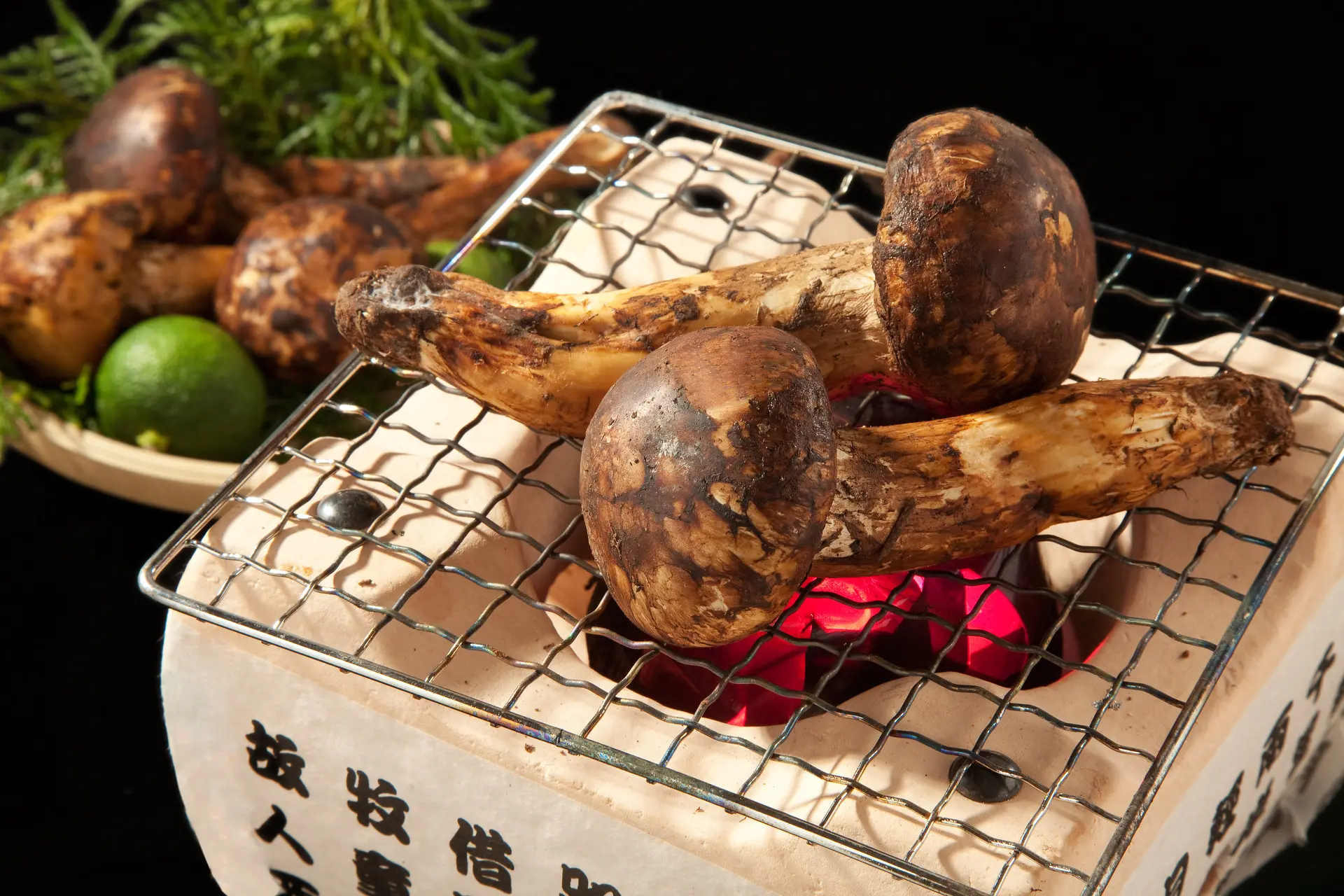 Nấm Matsutake - vua của các loài nấm, đặc sản mùa thu lá đỏ Nhật Bản